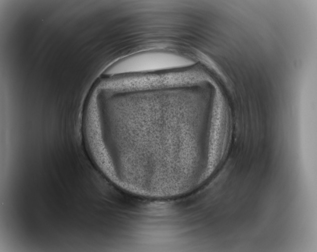 X0000089701178200707201734
