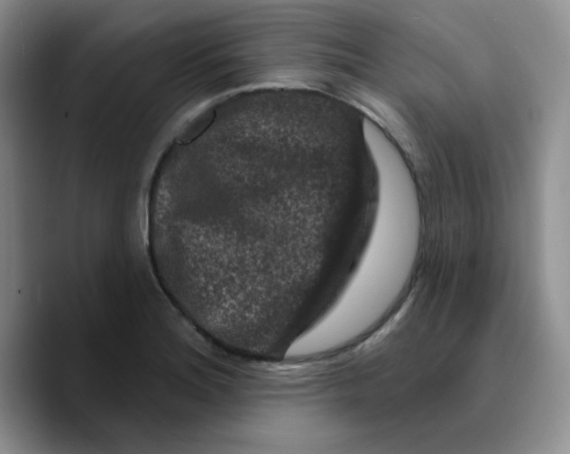 X0000089701180200707201734