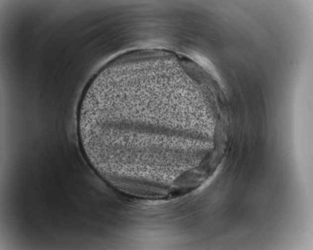 X0000089701184200707201734