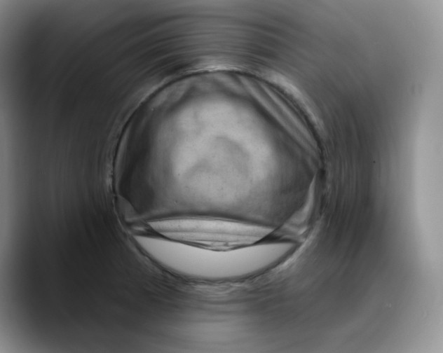 X0000089701185200707201734