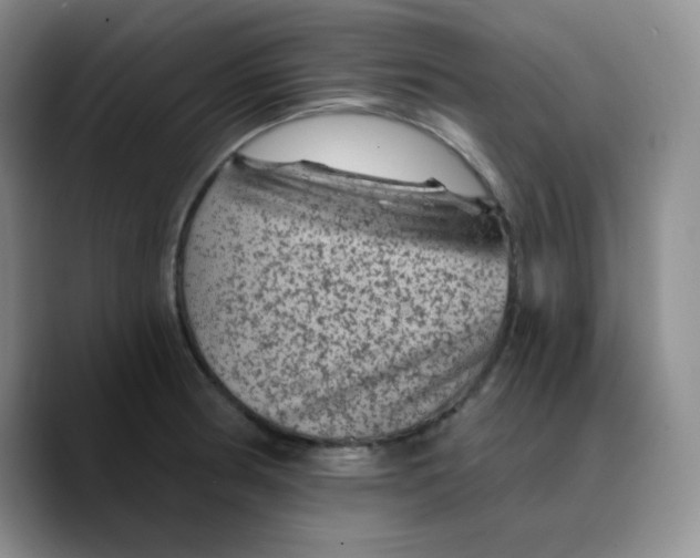 X0000089701186200707201734