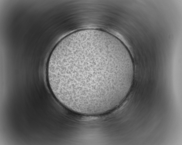 X0000089701187200707201734