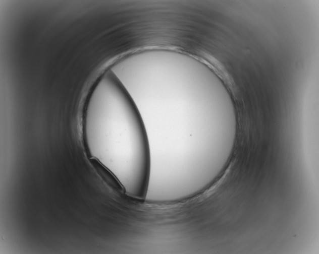 X0000089701188200707201734