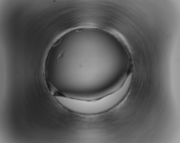 X0000089701192200707201734