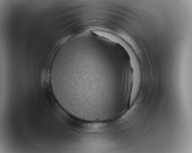 X0000089701193200707201734