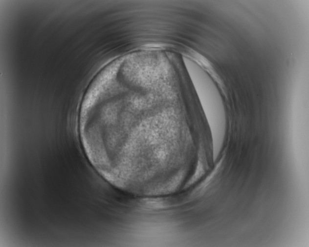 X0000089701194200707201734