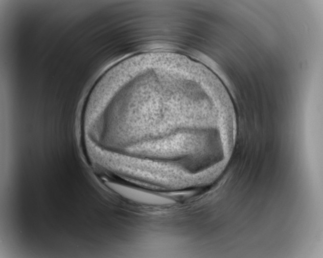X0000089701195200707201734