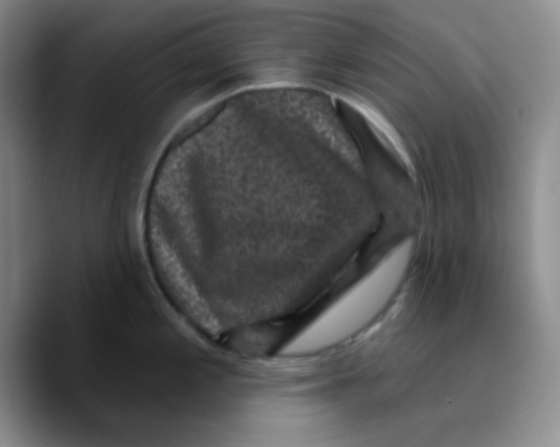 X0000089701197200707201734