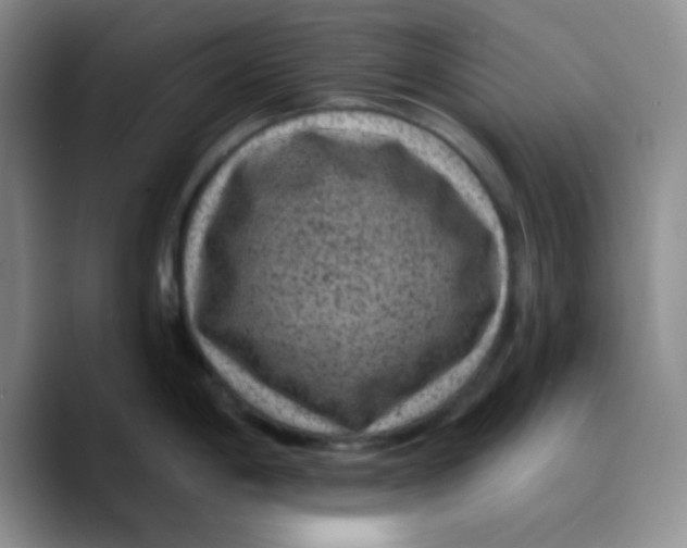 X0000089701198200707201734