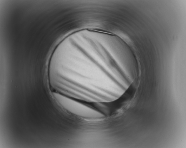X0000089701200200707201734