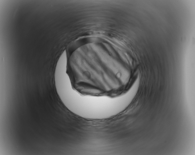 X0000089701202200707201733