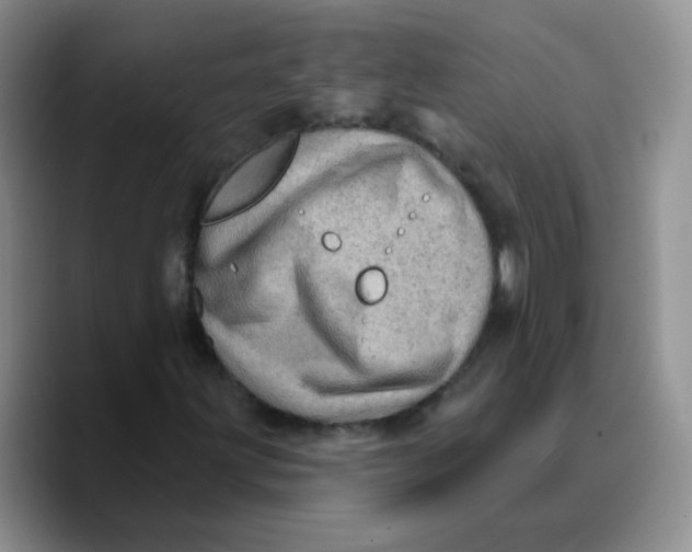 X0000089701203200707201733