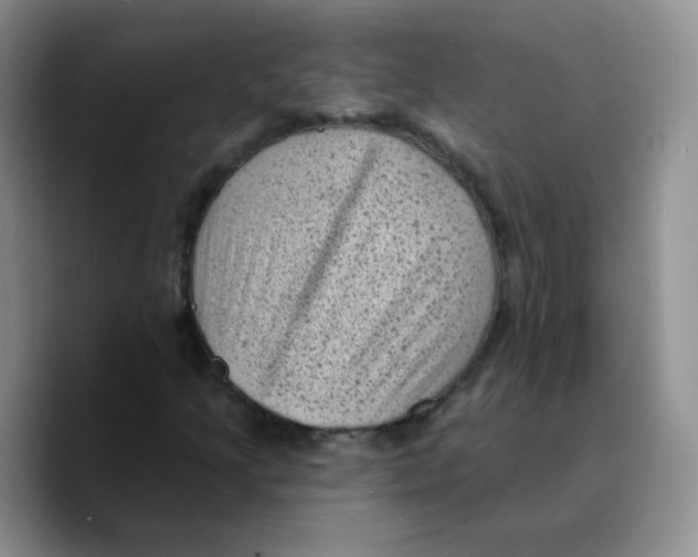 X0000089701205200707201733