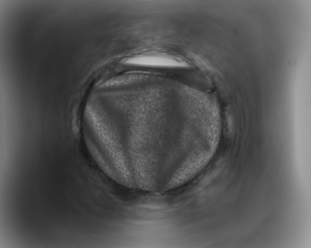 X0000089701206200707201733