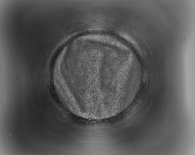 X0000089701208200707201733