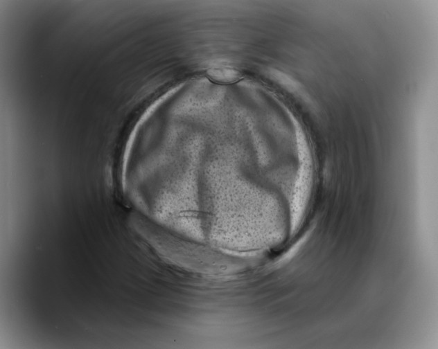X0000089701209200707201733