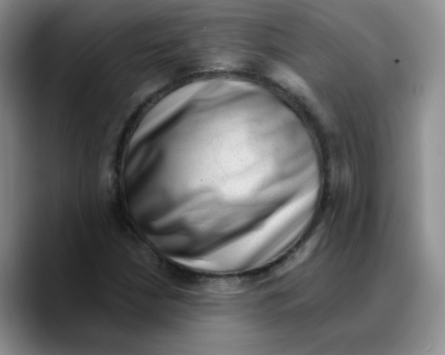 X0000089701210200707201733
