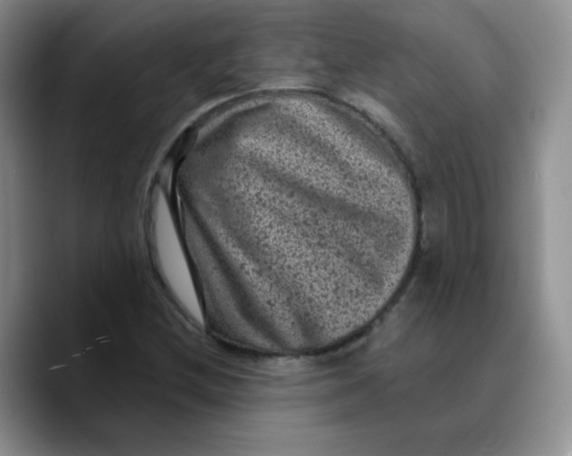 X0000089701212200707201733