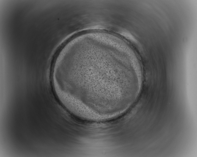 X0000089701216200707201733