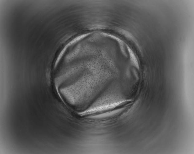 X0000089701217200707201733