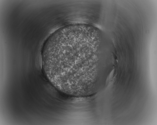 X0000089701219200707201733