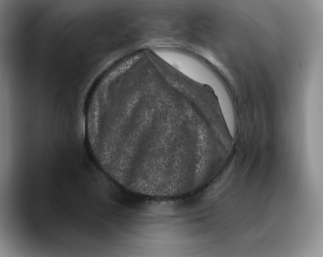 X0000089701221200707201734
