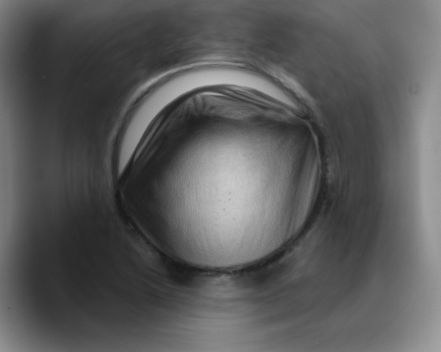 X0000089701222200707201734