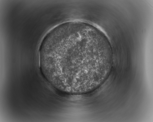X0000089701223200707201734