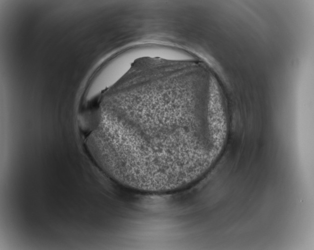 X0000089701224200707201734