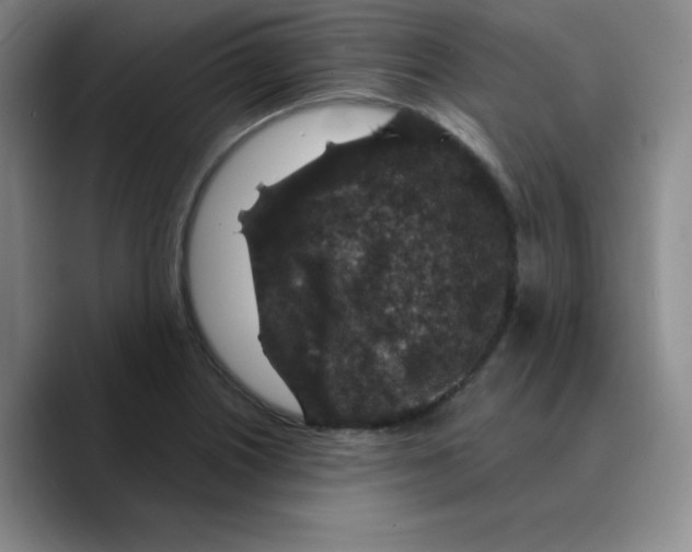 X0000089701226200707201734