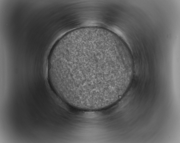 X0000089701227200707201734