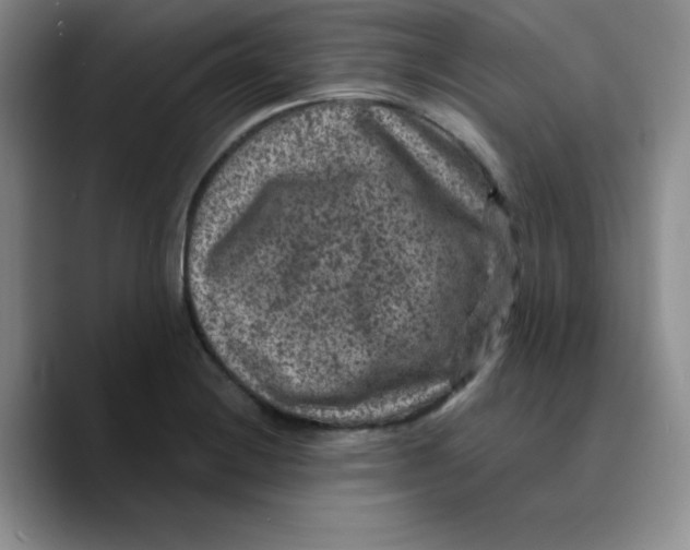 X0000089701228200707201734