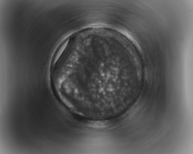 X0000089701229200707201734