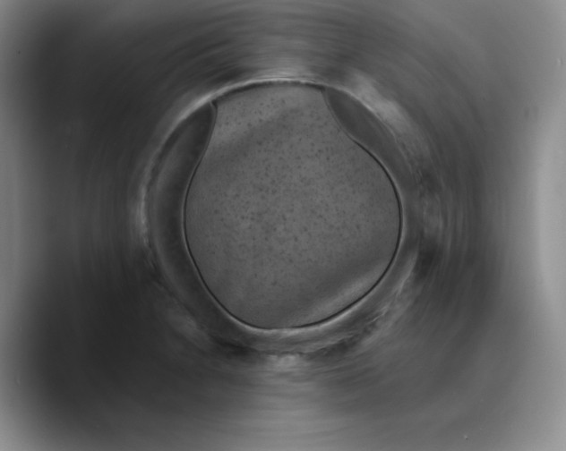 X0000089701230200707201734