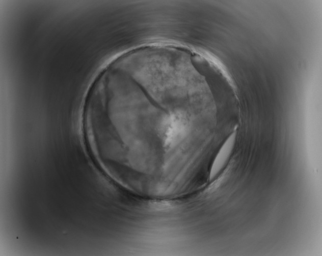 X0000089701231200707201734
