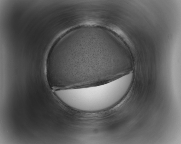 X0000089701232200707201734
