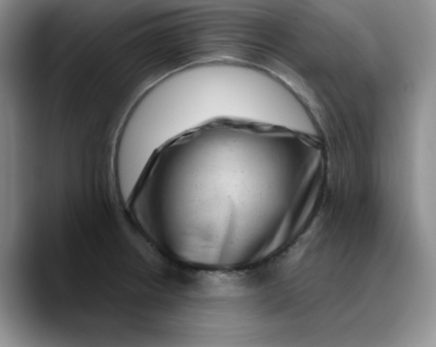 X0000089701234200707201734