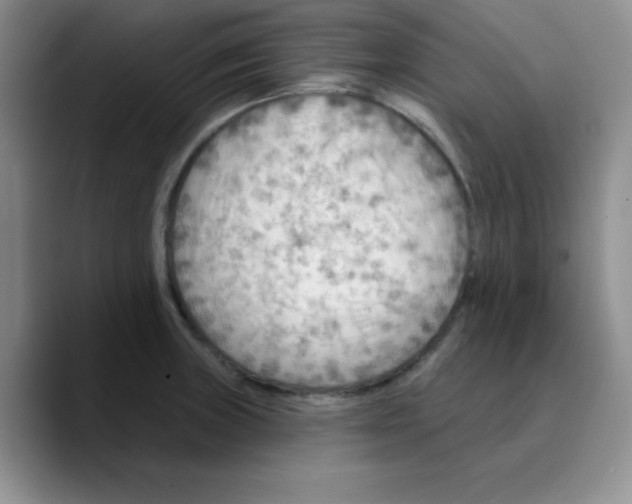 X0000089701235200707201734