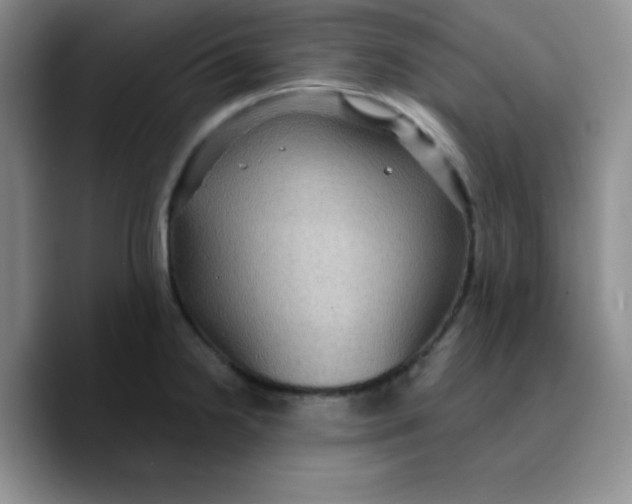 X0000089701238200707201734