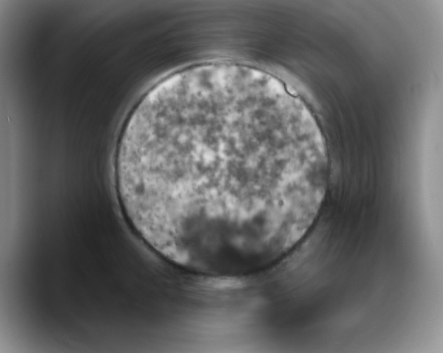 X0000089701239200707201734