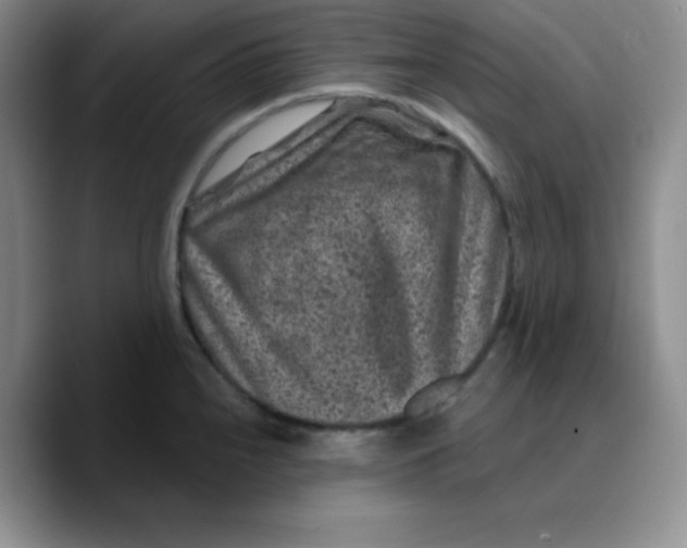X0000089701240200707201734