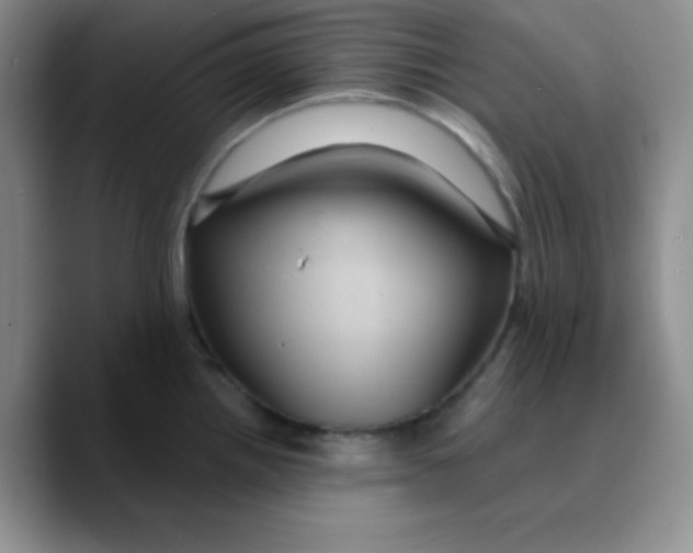 X0000089701242200707201734