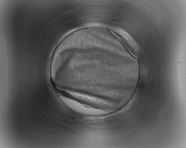 X0000089701244200707201734