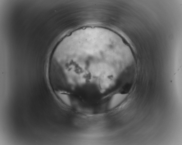 X0000089701245200707201734