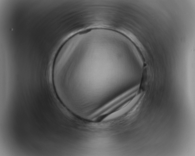 X0000089701246200707201734