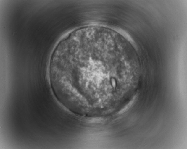 X0000089701247200707201734