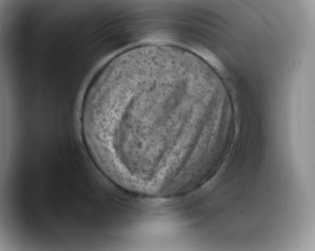 X0000089701248200707201734