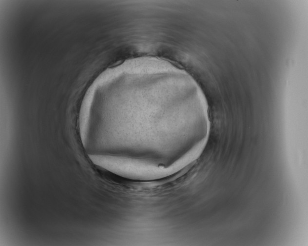 X0000089701249200707201733
