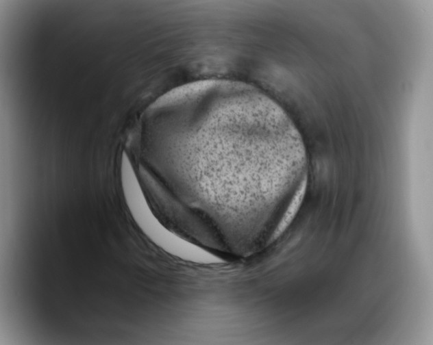 X0000089701250200707201733