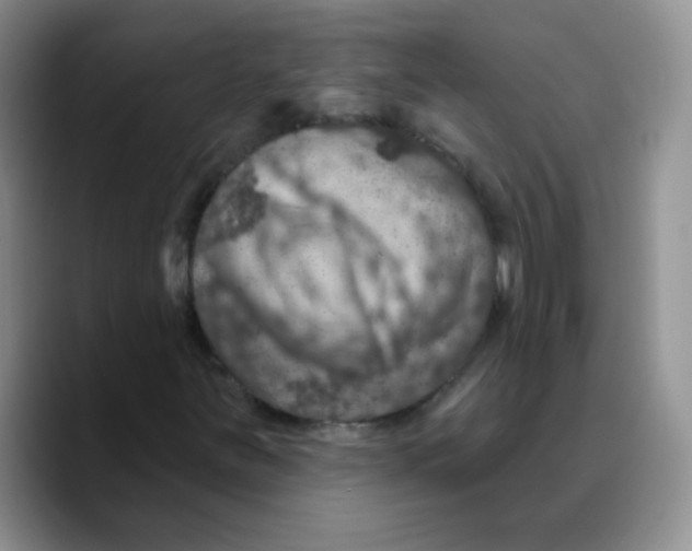X0000089701251200707201733